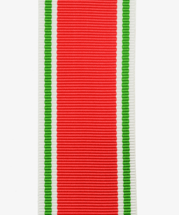 Bulgaria, War Commemorative Medal (157)
